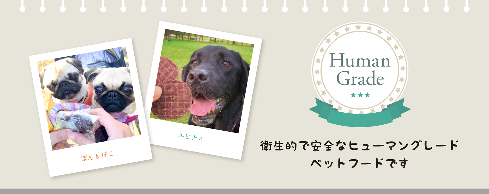 HACCPに基づき管理された衛生的で安全なヒューマングレードペットフードです