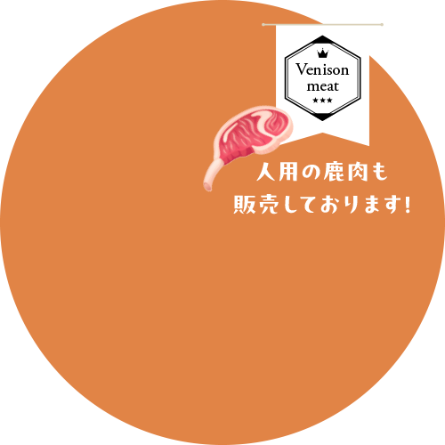 人用鹿肉の販売ページ