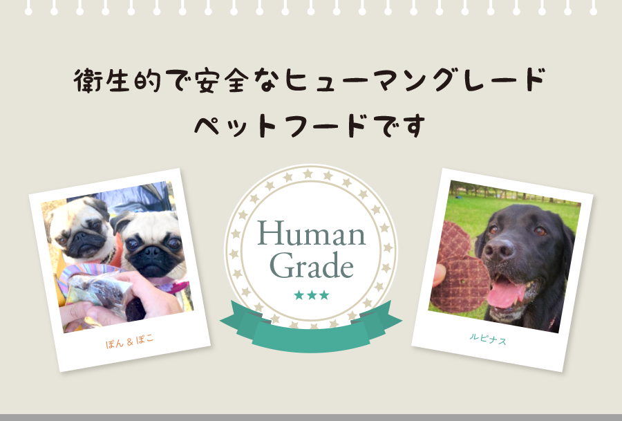 HACCPに基づき管理された衛生的で安全なヒューマングレードペットフードです