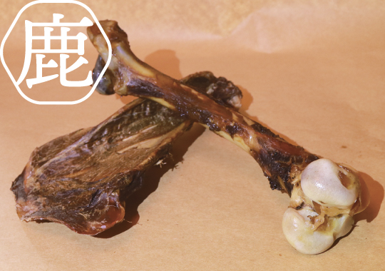 骨！！！！！！